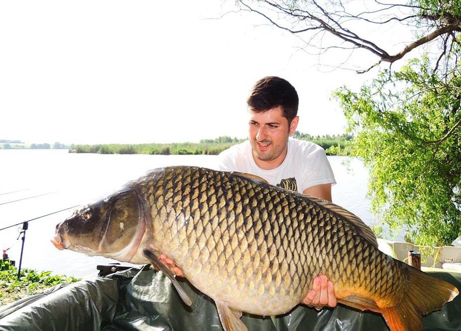 CONCURS. Cat are crapul din imagine? Raspunde corect si castiga 10 kg de boilies.